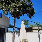 Kurti *
