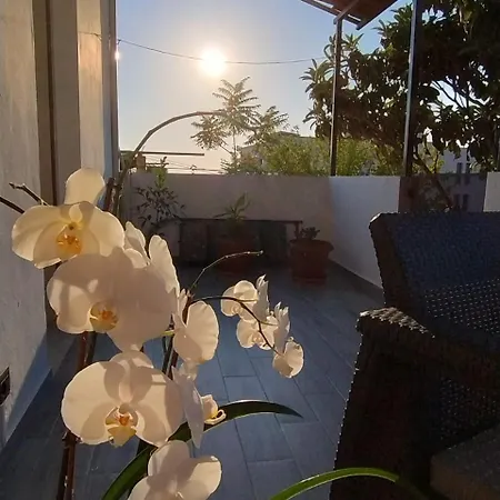 Villa Kurti *