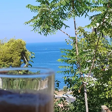 Kurti * Vlore