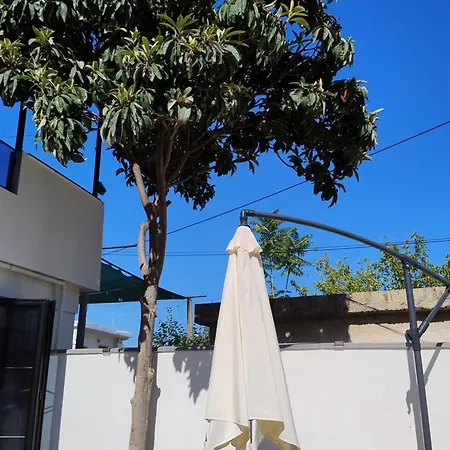 Kurti *