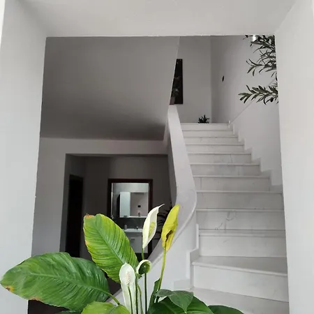 Kurti Villa Vlore